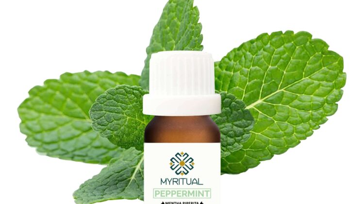 Huile de Menthe Verte Pure – MYRITUAL