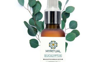 Huile de Feuilles D’Eucalyptus Globulus – Huile Essentielle d’Eucalyptus Myritual